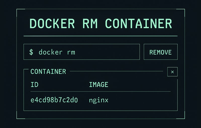 A Developer’s Guide to Docker RM Container